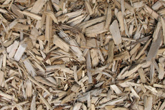 biomass boilers Paddock